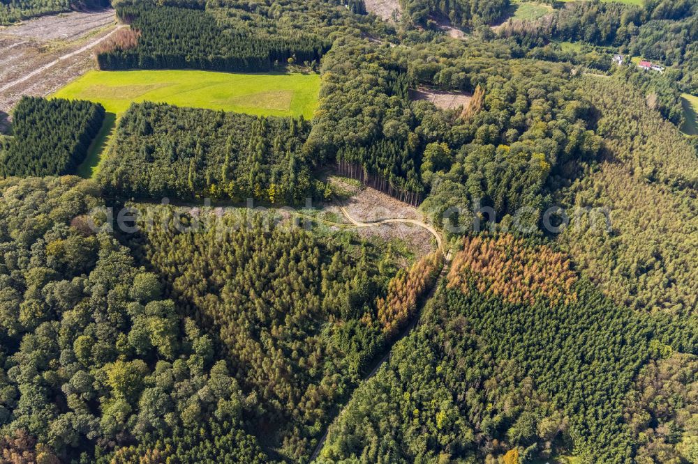 Aerial image Ennepetal - Bald area of a cleared forest in Ennepetal in the state North Rhine-Westphalia, Germany