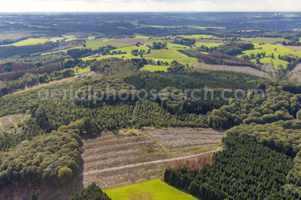 Aerial photograph Ennepetal - Bald area of a cleared forest in Ennepetal in the state North Rhine-Westphalia, Germany