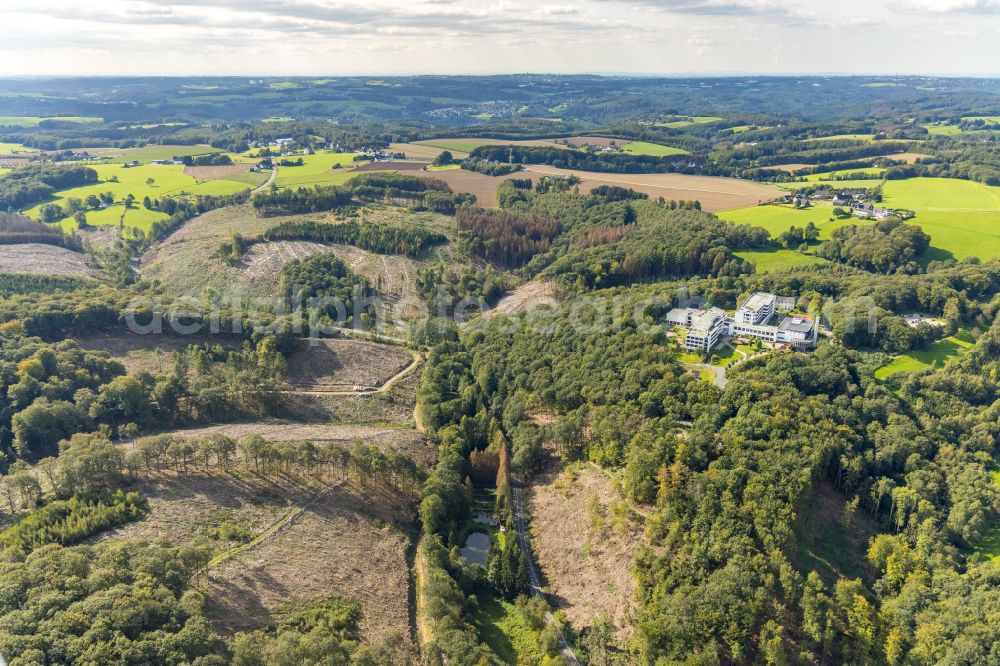 Ennepetal from above - Bald area of a cleared forest in Ennepetal in the state North Rhine-Westphalia, Germany