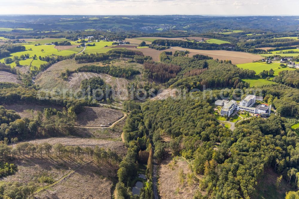 Ennepetal from the bird's eye view: Bald area of a cleared forest in Ennepetal in the state North Rhine-Westphalia, Germany