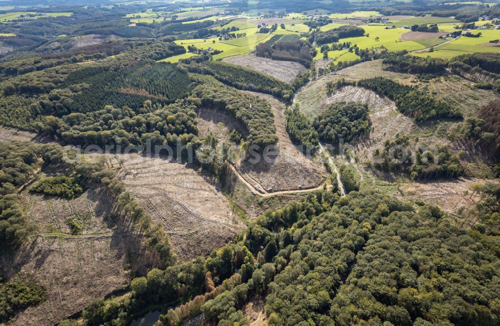 Aerial image Ennepetal - Bald area of a cleared forest in Ennepetal in the state North Rhine-Westphalia, Germany