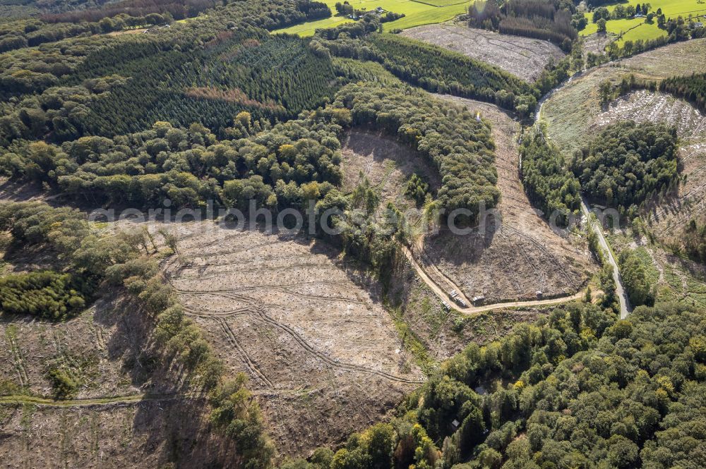 Aerial photograph Ennepetal - Bald area of a cleared forest in Ennepetal in the state North Rhine-Westphalia, Germany