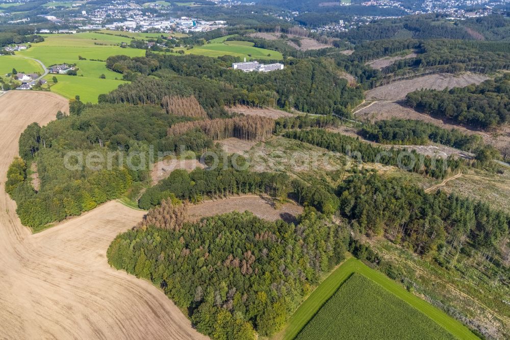 Aerial photograph Ennepetal - Bald area of a cleared forest in Ennepetal in the state North Rhine-Westphalia, Germany