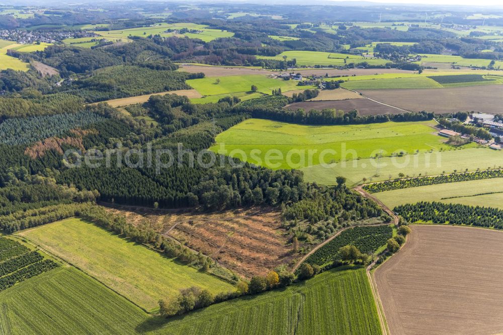 Aerial image Ennepetal - Bald area of a cleared forest in Ennepetal in the state North Rhine-Westphalia, Germany