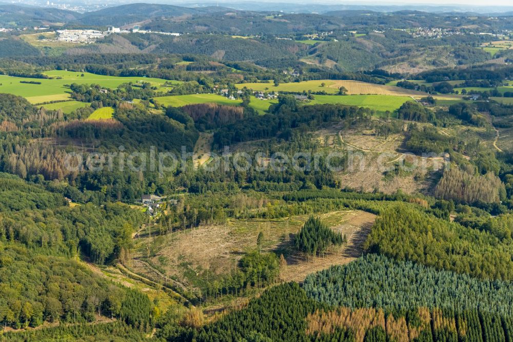 Ennepetal from the bird's eye view: Bald area of a cleared forest in Ennepetal in the state North Rhine-Westphalia, Germany