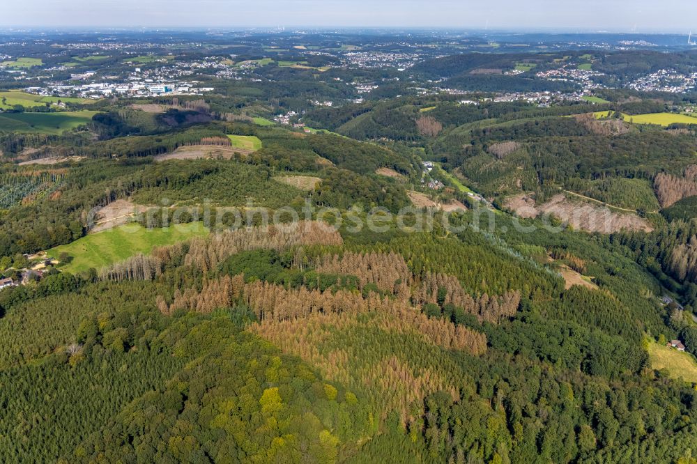 Aerial image Ennepetal - Bald area of a cleared forest in Ennepetal in the state North Rhine-Westphalia, Germany