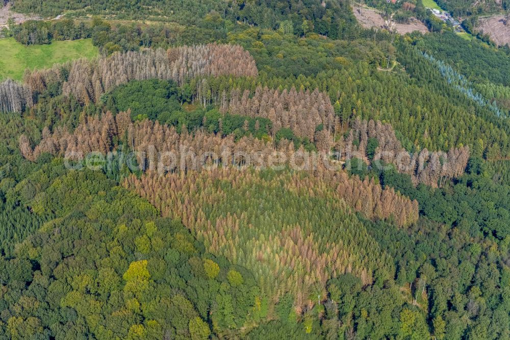 Aerial photograph Ennepetal - Bald area of a cleared forest in Ennepetal in the state North Rhine-Westphalia, Germany