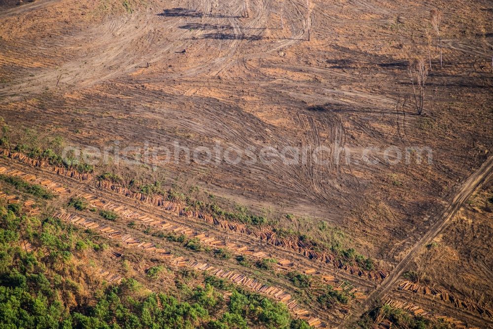 Fichtenwalde from the bird's eye view: Bald area of a cleared forest along the motorway A9 in Fichtenwalde in the state Brandenburg, Germany