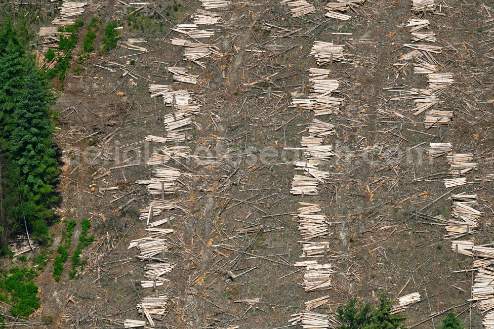 Arnsberg from above - Bald area of a cleared forest with piles of cut tree trunks on street Figgenbergweg in Arnsberg at Sauerland in the state North Rhine-Westphalia, Germany