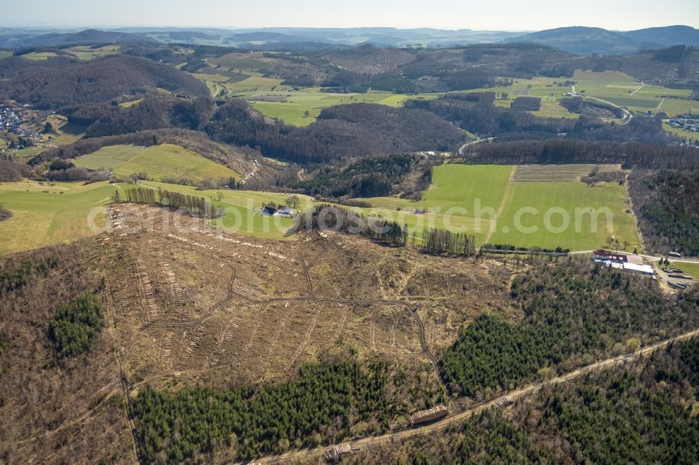 Hoppecke from above - Bald area of a cleared forest in Hoppecke at Sauerland in the state North Rhine-Westphalia, Germany