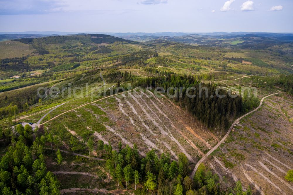 Kreuztal from the bird's eye view: Bald area of a cleared forest on Kindelsberg on street Hesse Stein in the district Littfeld in Kreuztal at Siegerland in the state North Rhine-Westphalia, Germany
