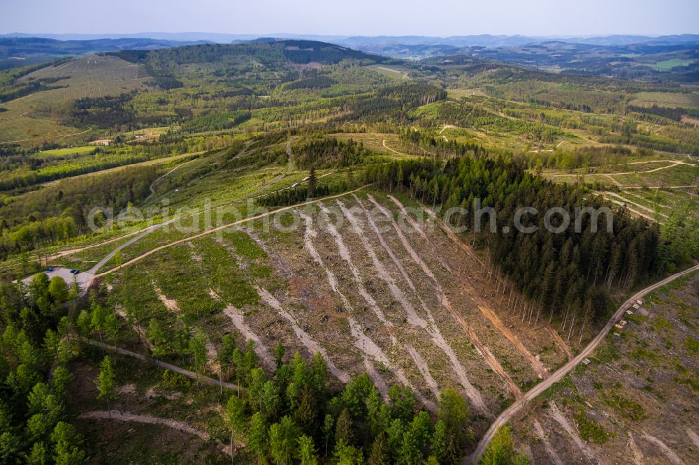 Aerial image Kreuztal - Bald area of a cleared forest on Kindelsberg on street Hesse Stein in the district Littfeld in Kreuztal at Siegerland in the state North Rhine-Westphalia, Germany
