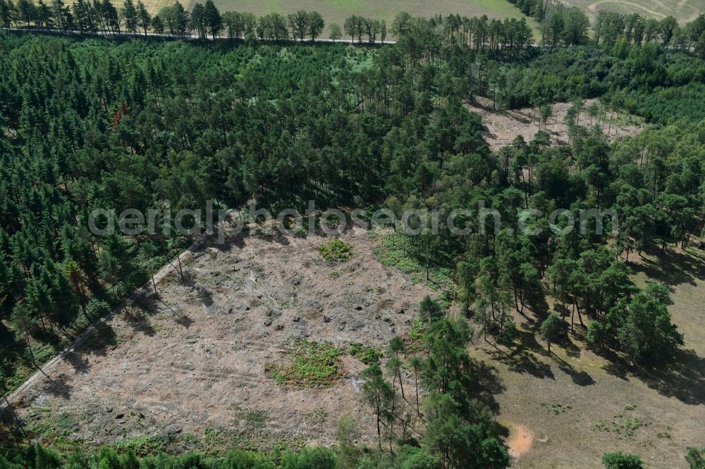 Aerial image Kletzke - Bald area of a cleared forest in Kletzke in the state Brandenburg, Germany