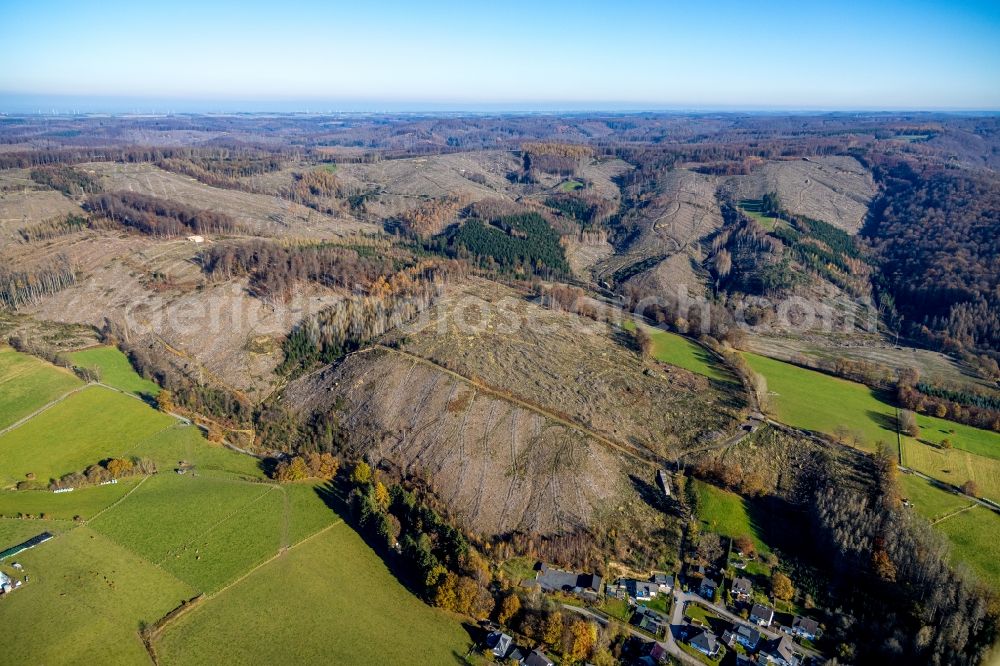 Oeventrop from above - Bald area of a cleared forest in Oeventrop in the state North Rhine-Westphalia, Germany