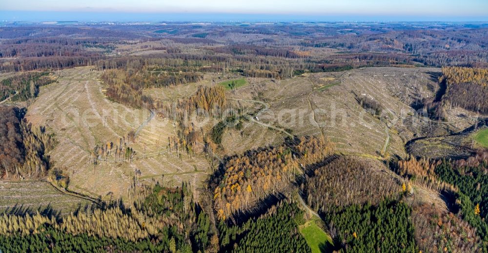 Aerial image Oeventrop - Bald area of a cleared forest in Oeventrop in the state North Rhine-Westphalia, Germany