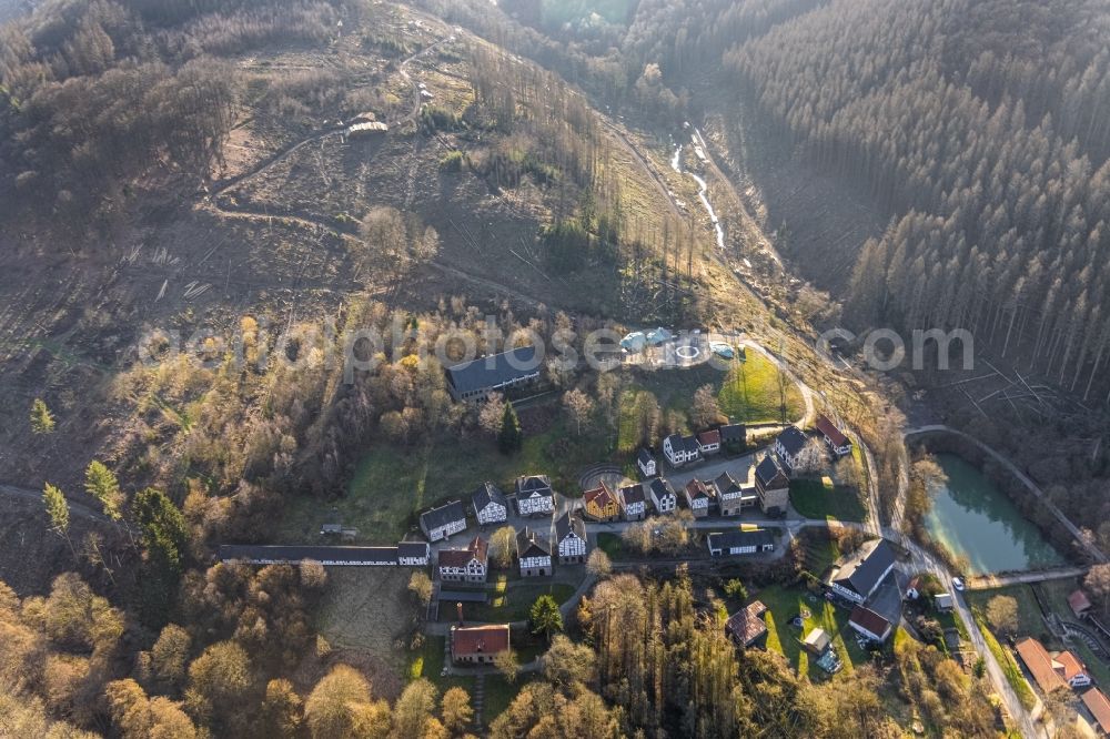 Aerial image Hagen - Bare forest area in a wooded area due to clearing - forest area in the center of the village in the district Dahl in Hagen at Ruhrgebiet in the state North Rhine-Westphalia, Germany