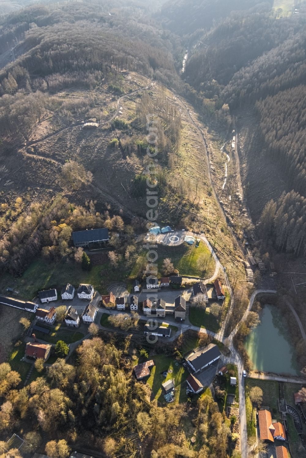 Aerial photograph Hagen - Bare forest area in a wooded area due to clearing - forest area in the center of the village in the district Dahl in Hagen at Ruhrgebiet in the state North Rhine-Westphalia, Germany