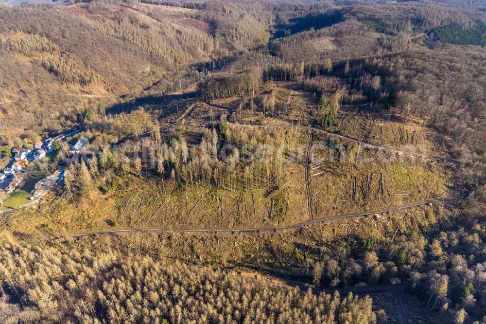 Hagen from above - Bare forest area in a wooded area due to clearing - forest area in the center of the village in the district Dahl in Hagen at Ruhrgebiet in the state North Rhine-Westphalia, Germany