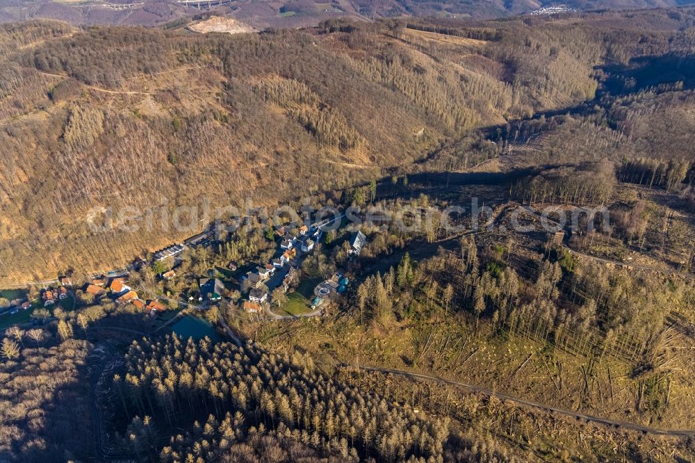 Aerial photograph Hagen - Bare forest area in a wooded area due to clearing - forest area in the center of the village in the district Dahl in Hagen at Ruhrgebiet in the state North Rhine-Westphalia, Germany