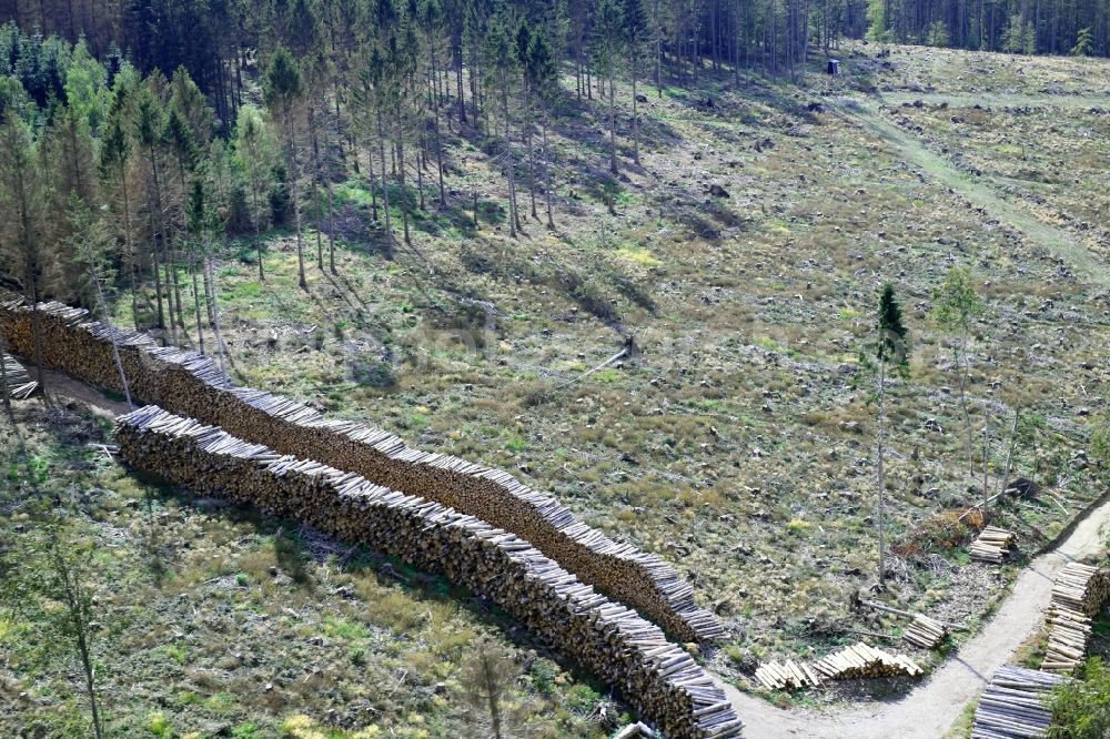 Südharz from the bird's eye view: Bald area of a cleared forest in the district Uftrungen in Suedharz in the state Saxony-Anhalt, Germany