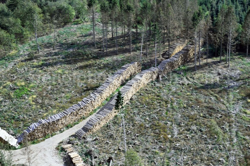 Südharz from the bird's eye view: Bald area of a cleared forest in the district Uftrungen in Suedharz in the state Saxony-Anhalt, Germany