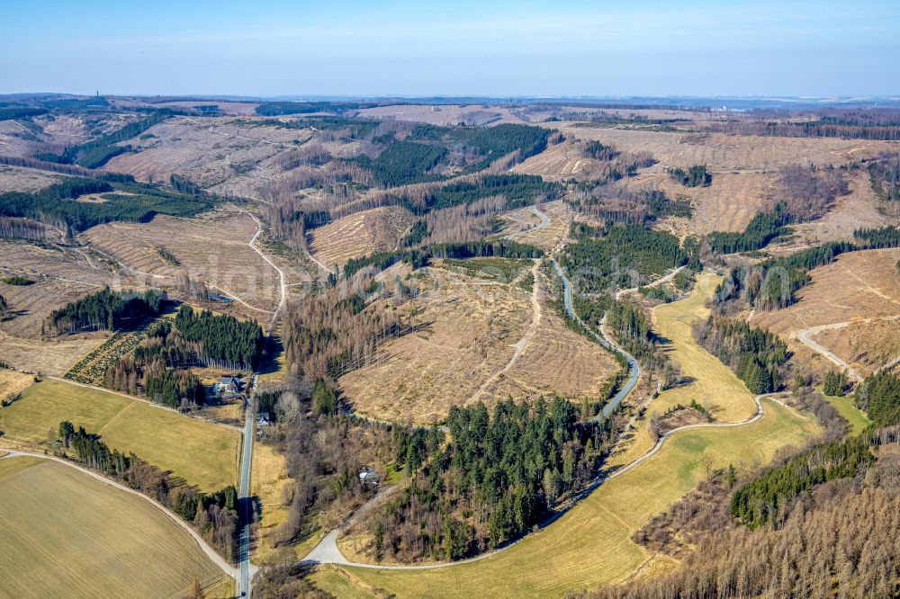 Ramsbeck from the bird's eye view: Bald area of a cleared forest in Ramsbeck at Sauerland in the state North Rhine-Westphalia, Germany