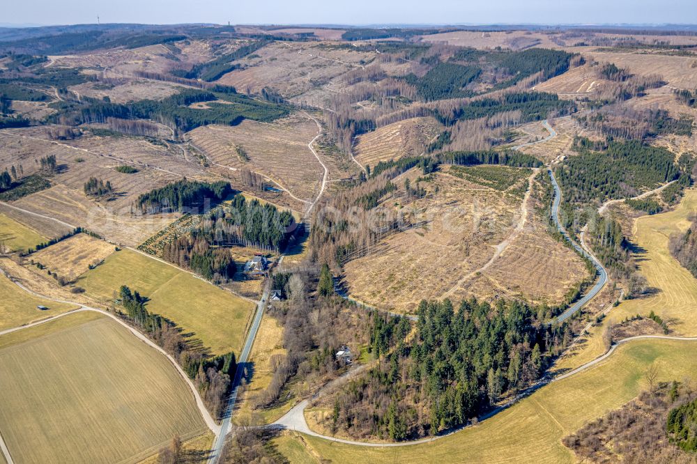 Aerial image Ramsbeck - Bald area of a cleared forest in Ramsbeck at Sauerland in the state North Rhine-Westphalia, Germany