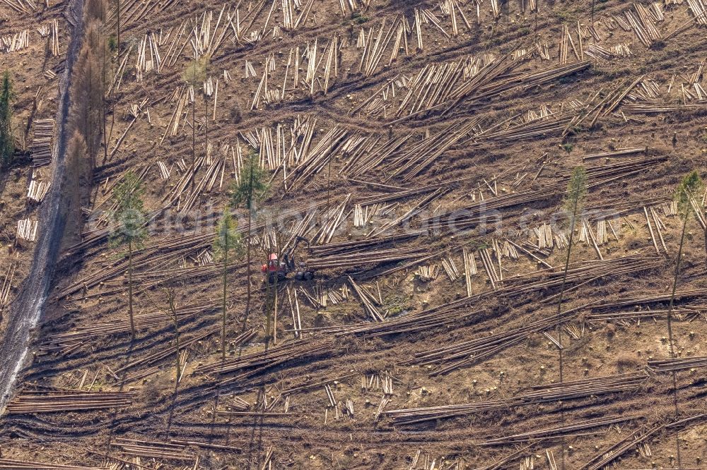 Aerial image Sundern (Sauerland) - Bald area of a cleared forest in Sundern (Sauerland) at Sauerland in the state North Rhine-Westphalia, Germany