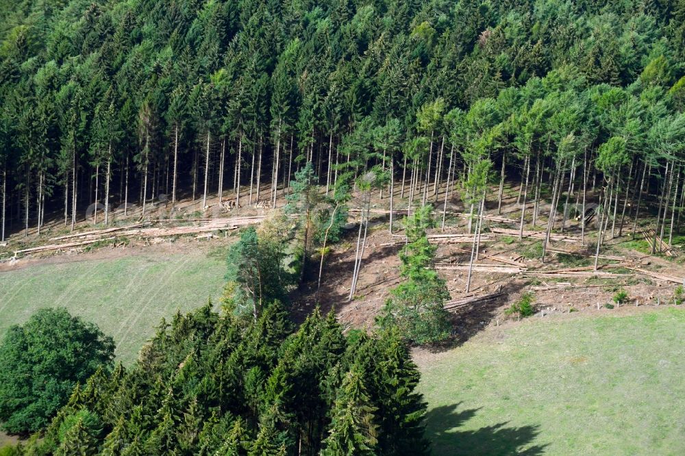 Aerial image Georgsmarienhütte - Bald area of a cleared forest of Teutoburger Wald in Georgsmarienhuette in the state Lower Saxony, Germany