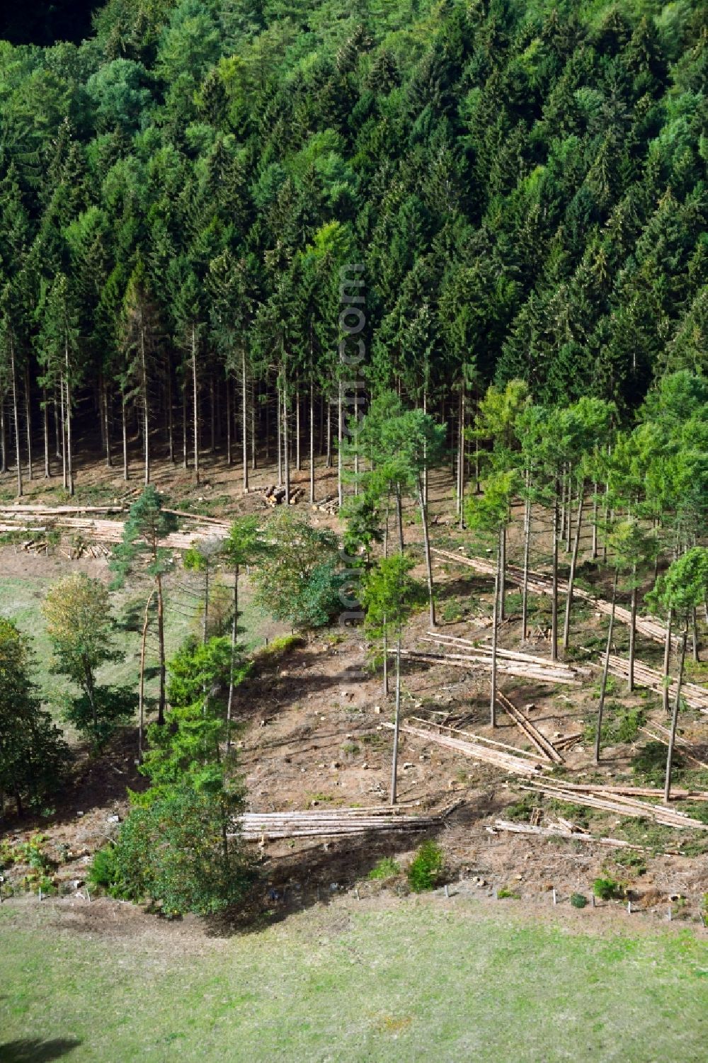 Georgsmarienhütte from above - Bald area of a cleared forest of Teutoburger Wald in Georgsmarienhuette in the state Lower Saxony, Germany