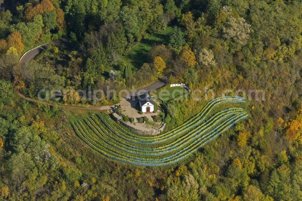 Merzig from the bird's eye view: Chapel on the Vine at Ellerweg in Merzig in Saarland