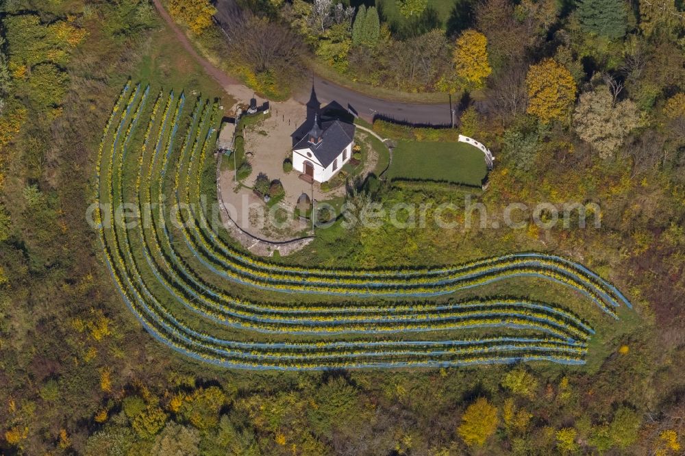 Aerial image Merzig - Chapel on the Vine at Ellerweg in Merzig in Saarland