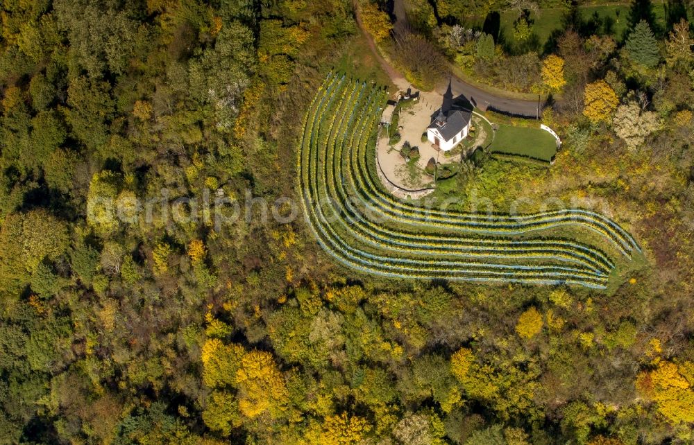 Aerial photograph Merzig - Chapel on the Vine at Ellerweg in Merzig in Saarland