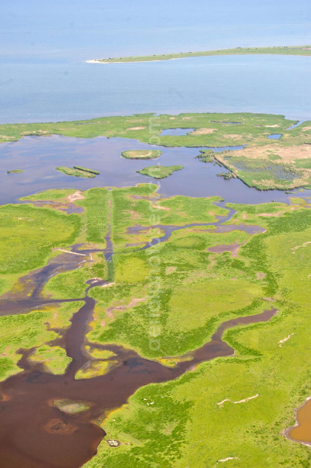 Karrendorf from above - Die Karrendorfer Wiesen sind periodisch überflutete Salzwiesen am südlichen Ufer des Greifswalder Bodden und Teil des Nationalparks Vorpommersche Boddenlandschaft in Mecklenburg-Vorpommern. Cyclic inundated salt meadows, the Karrendorfer meadows at the southern shore of the Greifswalder Bodden - coastal inlet - and a part of the national park Western Pomeranian coastal inlet landscape in Mecklenburg-Western Pomerania.