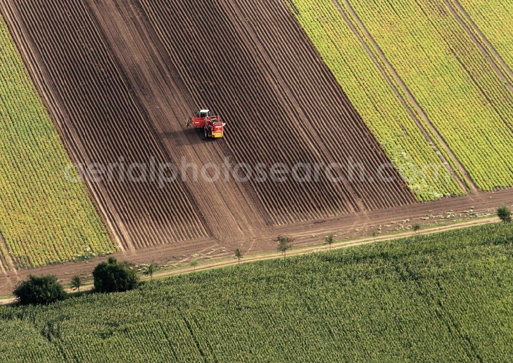 Nottleben from the bird's eye view: Tractor with potato harvester at potato harvest on a field in Nottleben in Thuringia