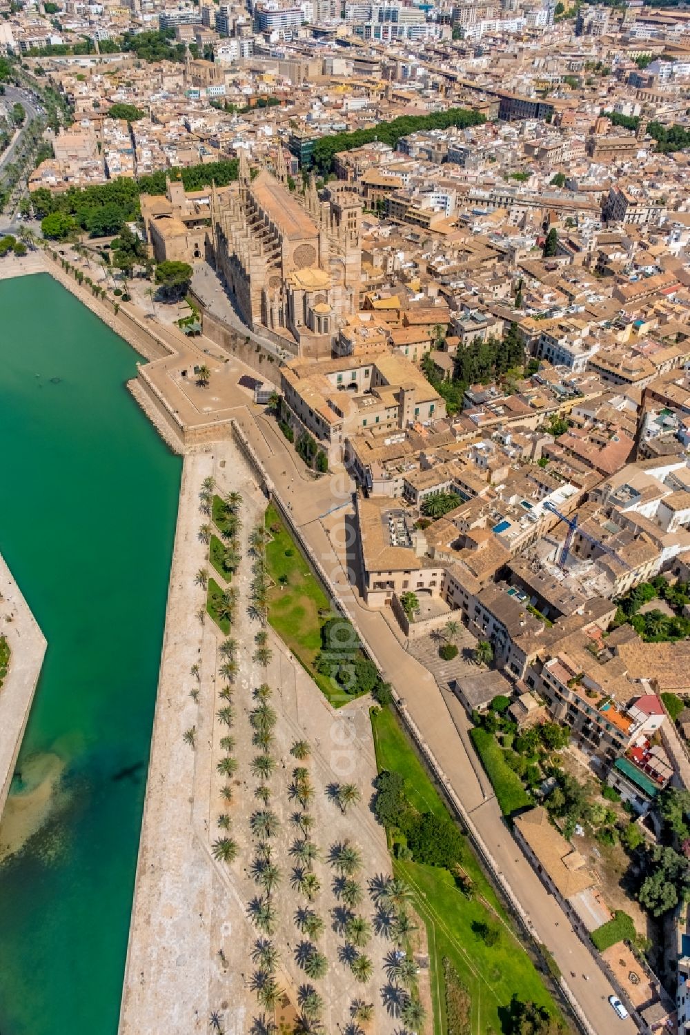 Aerial image Palma - Church building of the cathedral of on Placa de la Seu in center of Palma in Balearic island of Mallorca, Spain