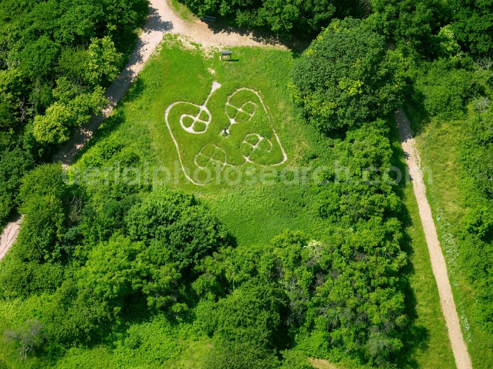 Aerial photograph Steinbach am Donnersberg - The Celtic Garden in Steinbach is a land of sheep and garden, home to the local plant and animal species. It extends over a 6.5 hectare area. On the site gives an insight into the lifestyle of the Celts over 3,000 years ago. Foto. Gerhard Launer