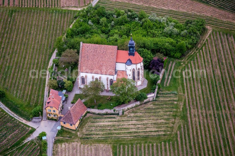 Volkach from the bird's eye view: Churches building the chapel Wallfahrtskirche Maria in Weingarten in Volkach in the state Bavaria, Germany