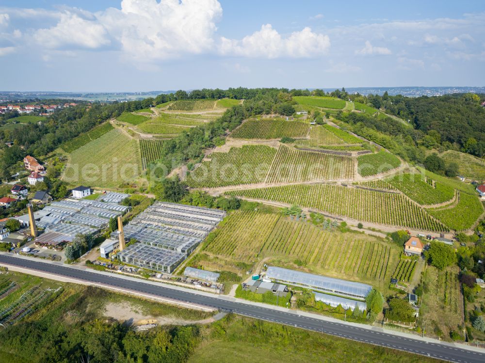 Meißen from the bird's eye view: Klausenberg vineyard in the Spaargebirge and Bernhardt Garden Centre & Flower Shop in Meissen in the state of Saxony, Germany