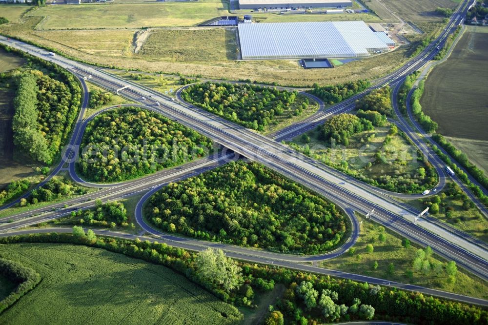 Magdeburg from above - Traffic flow at the intersection- motorway A14 to the B81 in form of cloverleaf in Magdeburg in the state Saxony-Anhalt, Germany