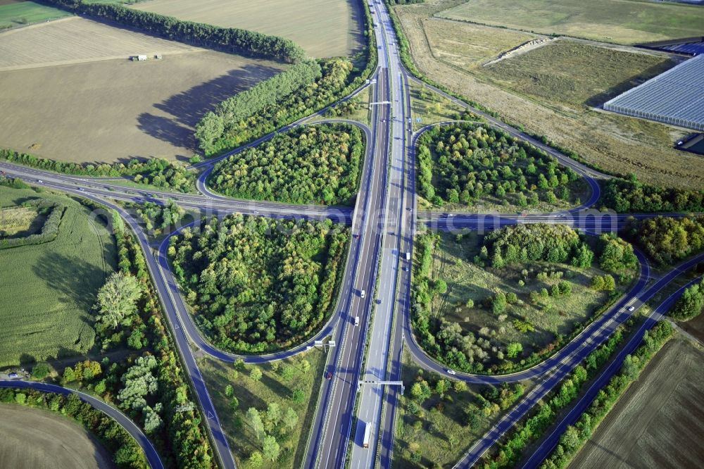 Aerial photograph Magdeburg - Traffic flow at the intersection- motorway A14 to the B81 in form of cloverleaf in Magdeburg in the state Saxony-Anhalt, Germany