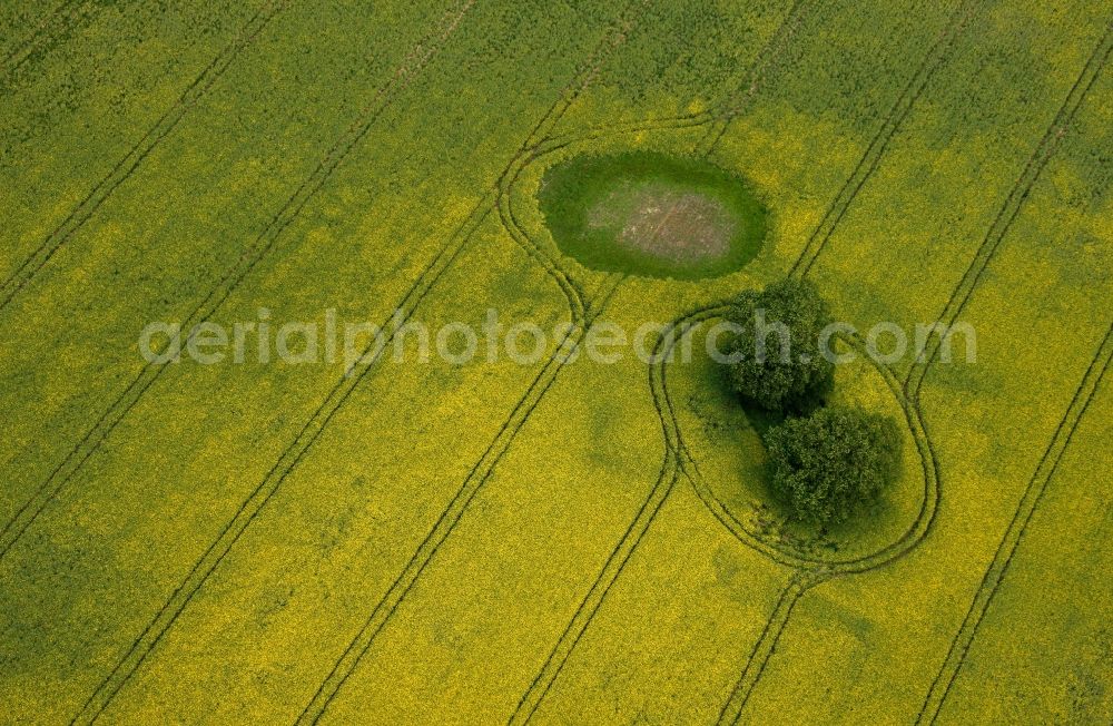 Aerial image Bollewick - A little Motte aimd in a faded field on a farmland near the small-town Roebel-Mueritz in Bollewick in Mecklenburg-Western Pomerania