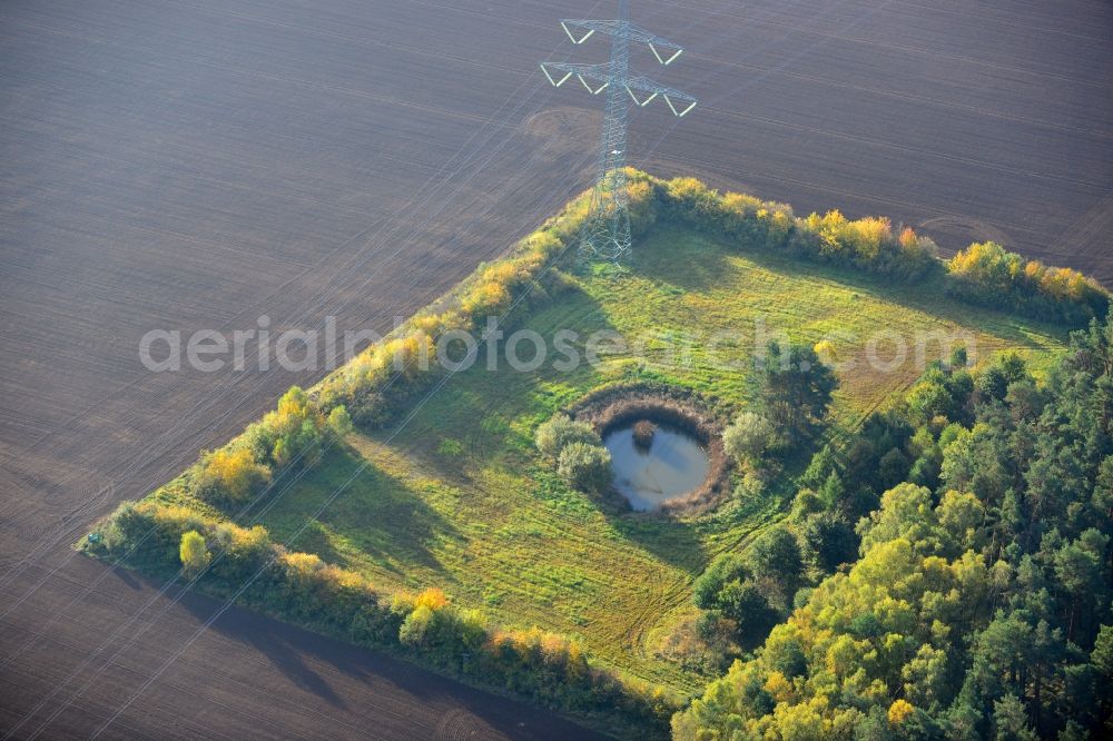 Ellersell from the bird's eye view: View of an oasis in a meadow in a harvested and ploughed up field Ellersell in Saxony-Anhalt