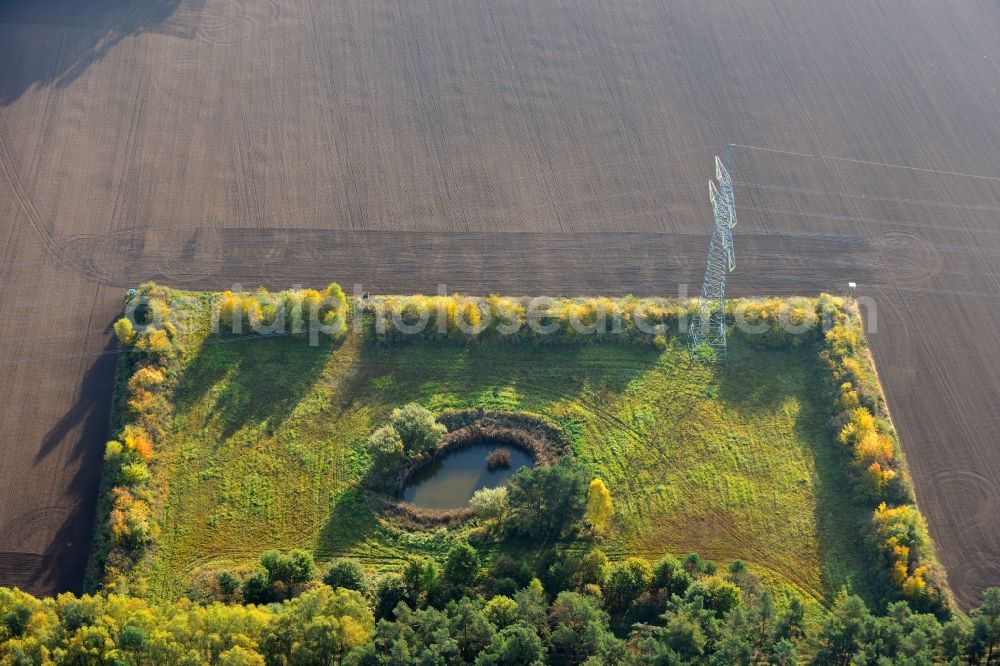 Aerial image Ellersell - View of an oasis in a meadow in a harvested and ploughed up field Ellersell in Saxony-Anhalt