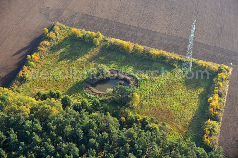 Aerial photograph Ellersell - View of an oasis in a meadow in a harvested and ploughed up field Ellersell in Saxony-Anhalt