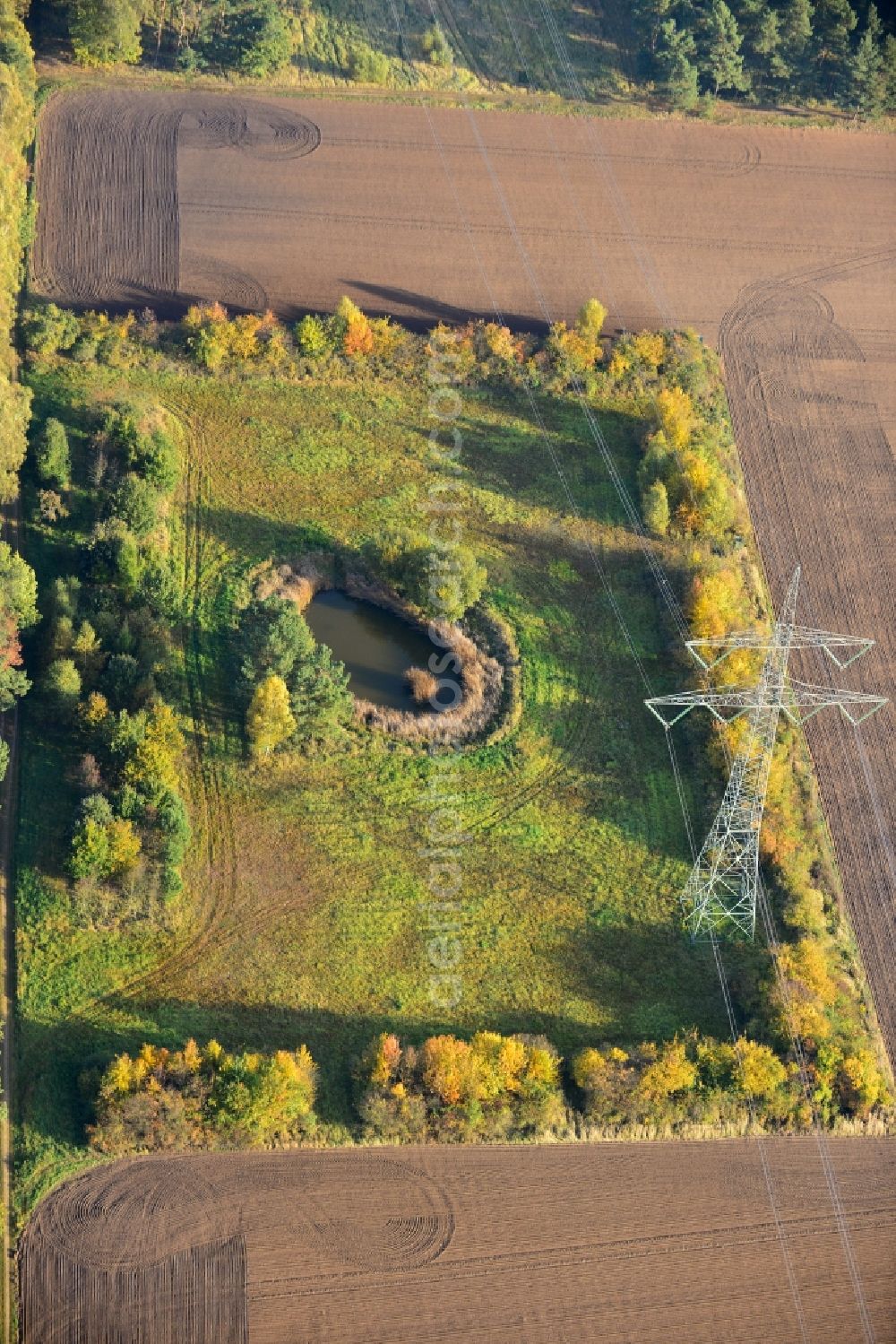 Ellersell from above - View of an oasis in a meadow in a harvested and ploughed up field Ellersell in Saxony-Anhalt