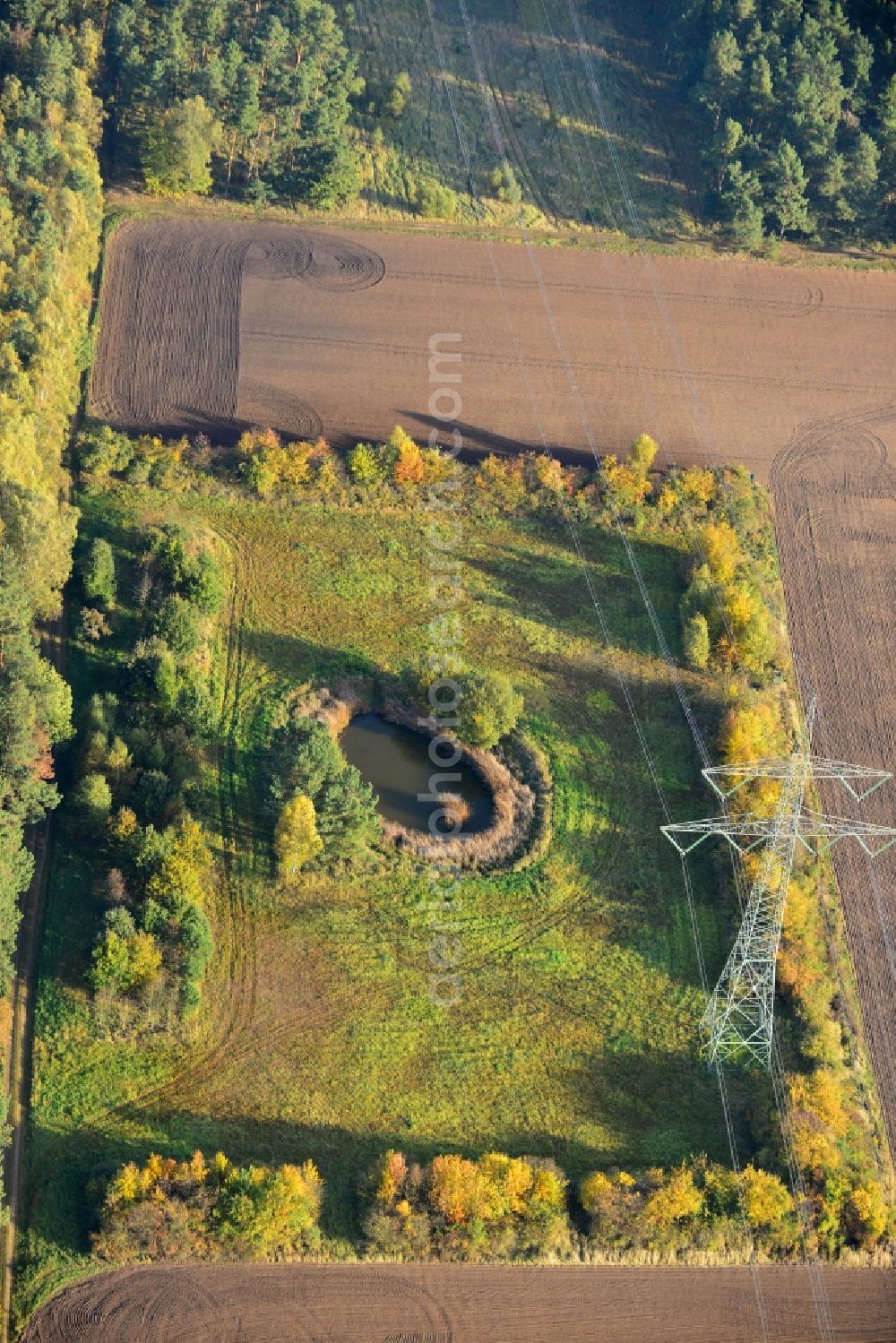 Ellersell from the bird's eye view: View of an oasis in a meadow in a harvested and ploughed up field Ellersell in Saxony-Anhalt