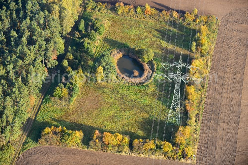 Aerial image Ellersell - View of an oasis in a meadow in a harvested and ploughed up field Ellersell in Saxony-Anhalt