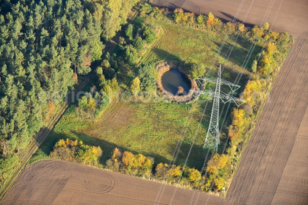 Aerial photograph Ellersell - View of an oasis in a meadow in a harvested and ploughed up field Ellersell in Saxony-Anhalt