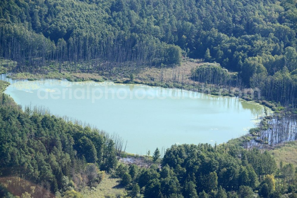 Aerial photograph Müncheberg - Lake Kleiner Klobichsee in Muencheberg in the state of Brandenburg